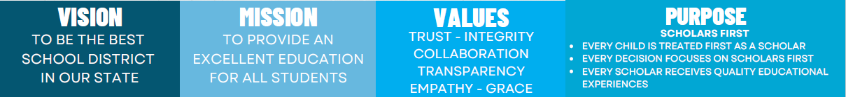 Vision, Mission, Purpose, Values and Organizational Anchors in image format.